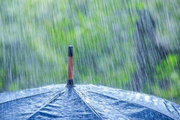 بارش های شدید در استان بوشهر، آبگرفتگی معابر و وقوع سیلاب