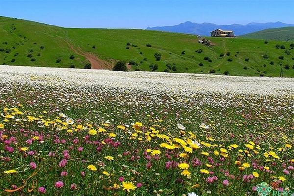 4هزار هکتار از جنگل فندقلو برای سرمایه گذاری گردشگری مطالعه می شود 4هزار هکتار از جنگل فندقلو برای سرمایه گذاری گردشگری مطالعه می گردد