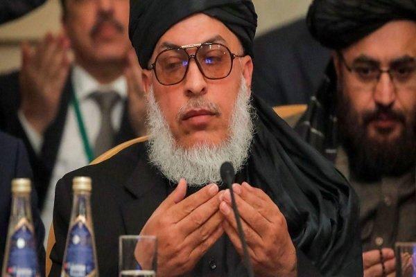 استانکزی: خروج اشغالگران آمریکایی از افغانستان پیروزی طالبان استانکزی: خروج اشغالگران آمریکایی از افغانستان پیروزی طالبان است