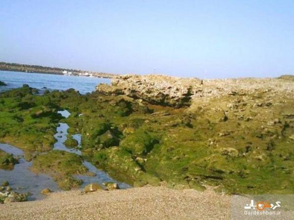 رمین؛ طبیعت بهاری و پر جاذبه چابهار عکس رمین؛ طبیعت بهاری و پر جاذبه چابهار