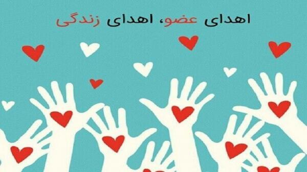 اهدای اعضای بدن 2 بیمار مرگ مغزی کاشانی به بیماران نیازمند اهدای اعضای بدن 2 بیمار مرگ مغزی کاشانی به بیماران نیازمند