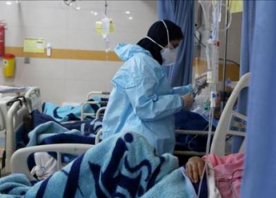 اوج گرفتن آمار فوتی ها در کردستان