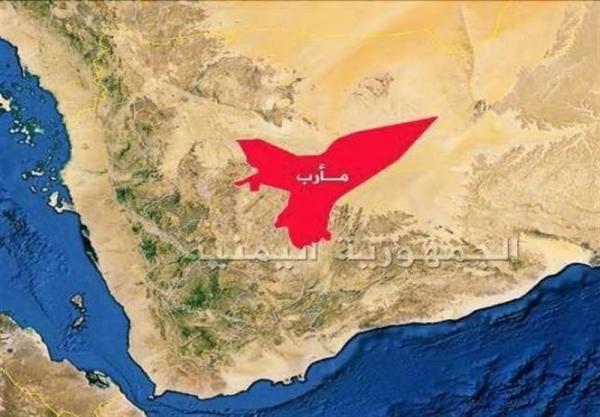 اوضاع آشفته نیروهای ائتلاف سعودی در مأرب