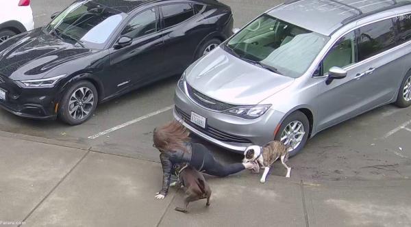 حمله هولناک دو سگ به یک زن