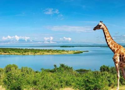 دیدنی های اوگاندا و نگاهی به جاذبه های زیبای گردشگری این کشور