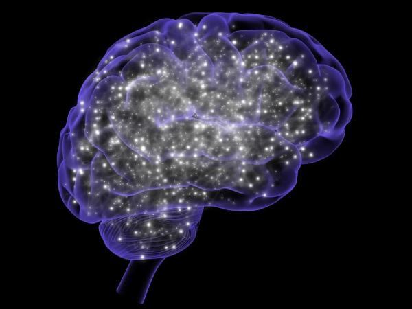 کشف شگفت انگیز میلیون ها سیناپس خاموش در مغز انسان